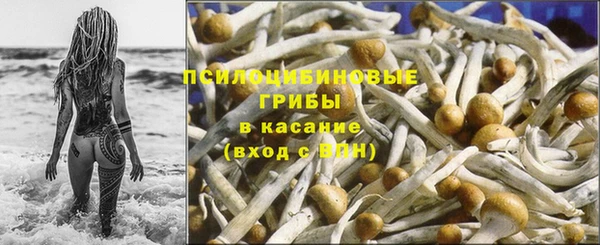MESCALINE Надым