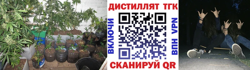 Купить где  Змеиногорск  ТГК концентрат 