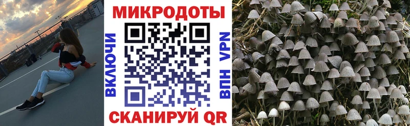 Купить закладки  Змеиногорск  Галлюциногенные грибы ЛСД 